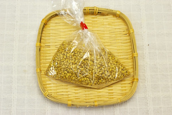 ̵ݡ100g ʬƤߤ㤬²λӸϡv100