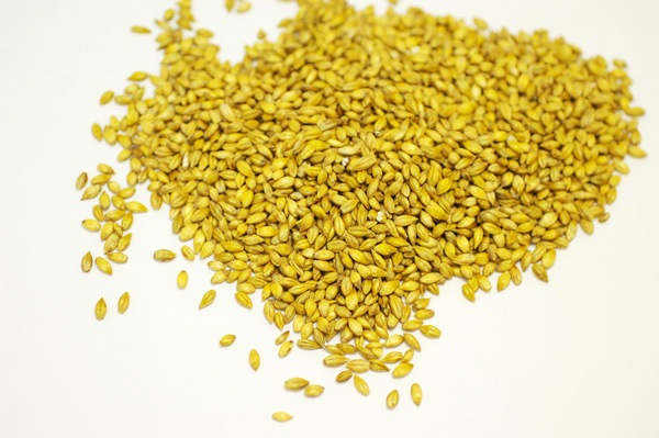 ̵ݡ100g ʬƤߤ㤬²λӸϡv100