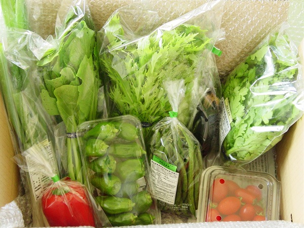 ��̵�������������ݡ۽ܤΤ���ڡ���ʪ�Τ�Ǥ�����åȤΥ��ݥåȹ�����������ʪ��Ͽ��