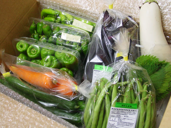 ��̵�������������ݡ۽ܤΤ���ڡ���ʪ�Τ�Ǥ�����åȤΥ��ݥåȹ�����������ʪ��Ͽ��