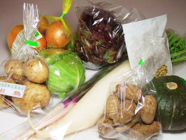 ��̵�������������ݡ۽ܤΤ���ڡ���ʪ�Τ�Ǥ�����åȤΥ��ݥåȹ�����������ʪ��Ͽ��