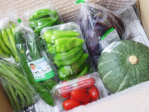 ��̵�������������ݡ۽ܤΤ���ڡ���ʪ�Τ�Ǥ�����åȤΥ��ݥåȹ�����������ʪ��Ͽ��