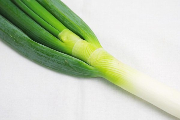 ̵ݡͥ縩ȥĥߥեϡv500ۢ1/17()ȯʬ