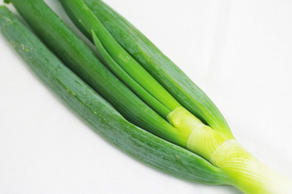 ̵ݡͥ縩ȥĥߥեϡv500ۢ1/17()ȯʬ