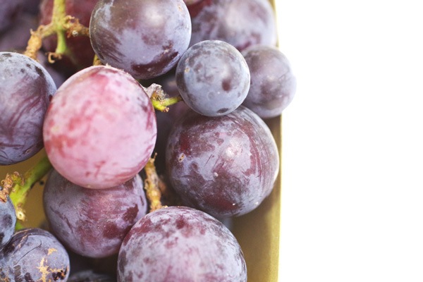 ��̵�������������ݡ���ƺ�ʰ�Ʀ�ӡ���450g�ε����ܡ�HANDOVER FARM�ϡ�v1000��