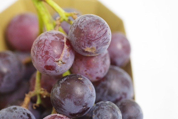 ��̵�������������ݡ���ƺ�ʰ�Ʀ�ӡ���450g�ε����ܡ�HANDOVER FARM�ϡ�v1000��