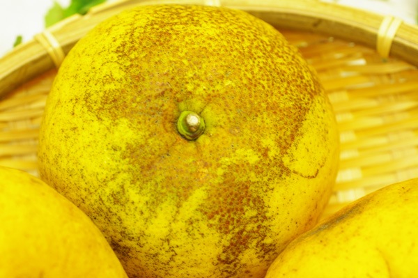 ��̵�������������ݡ�������ŲƤߤ���1.5kg�η��ܸ������餿���ϡ�v2000��