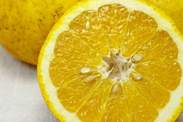 ��̵�������������ݡ�������ŲƤߤ���1.5kg�η��ܸ������餿���ϡ�v2000��