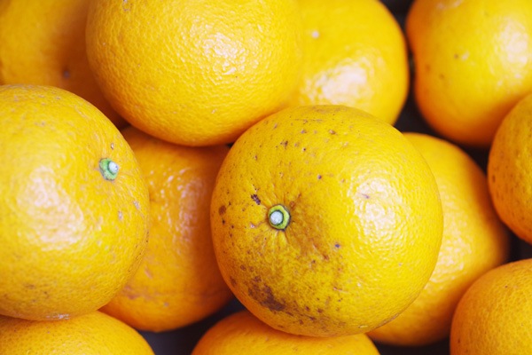 ̵ݡ۹ȴŲƤߤ5kg²λϡv5000