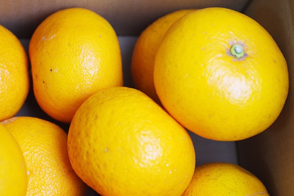 ̵ݡ۹ȴŲƤߤ5kg²λϡv5000