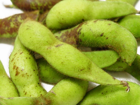 ��̵����̵�������ݡ��ܾ��ð�Ȥι�Ʀ�λ�Ʀ180g��11��1��(��)���١�