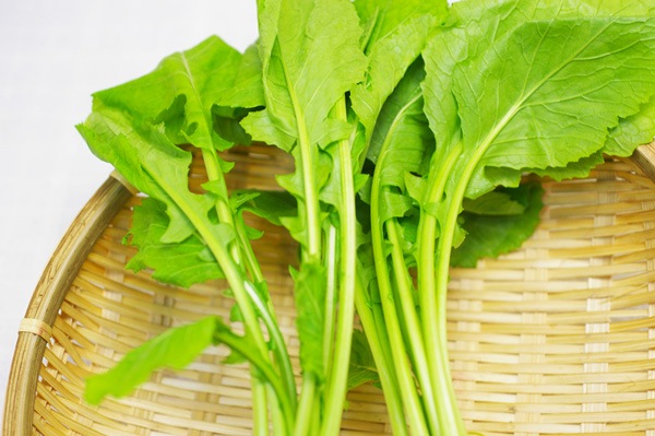 無肥料 自然栽培 小かぶ 京都府 中嶋大輔 V400 野菜 ハート Netshop 無肥料 自然栽培 小かぶ 京都府 中嶋大輔 V400 野菜 ハート Netshop