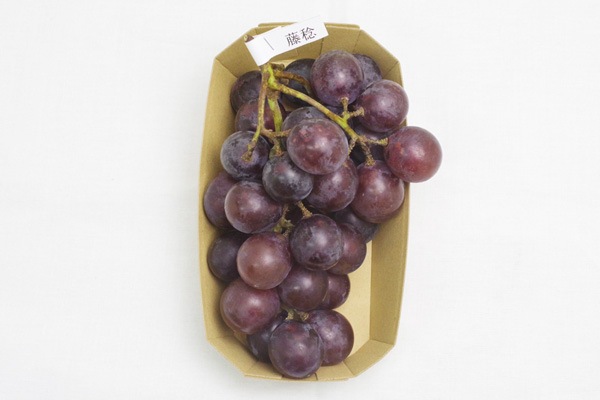 ��̵�������������ݡ���ƺ��ƣ̭�֤դ��ߤΤ�ס���450g�ε����ܡ�HANDOVER FARM�ϡ�v1000��