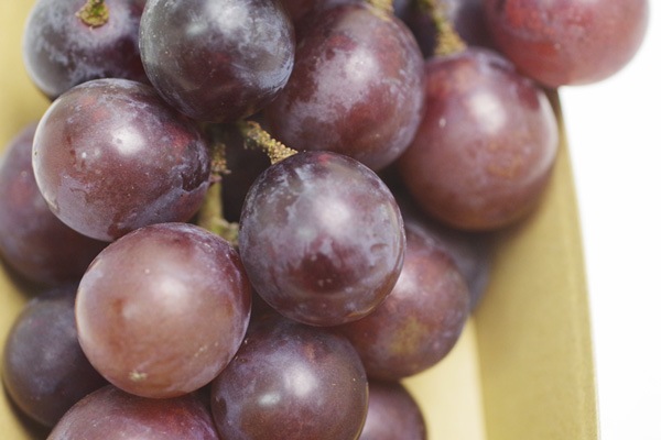 ��̵�������������ݡ���ƺ��ƣ̭�֤դ��ߤΤ�ס���450g�ε����ܡ�HANDOVER FARM�ϡ�v1000��