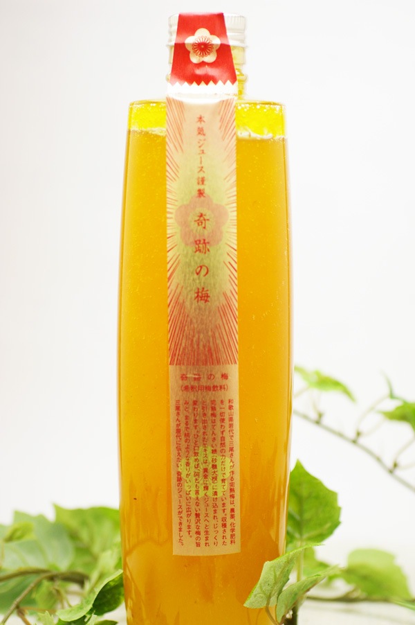 ��̵�������������ݡ۲��⿧�Υɥå�����������ä��š����ش��פ��ߥ��塼��500ml�١�v600��