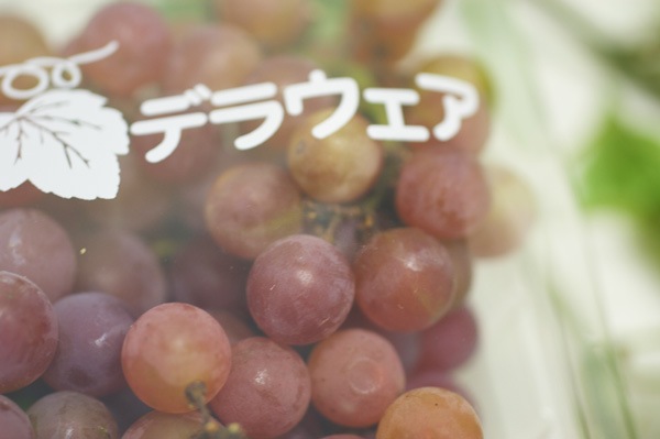 ��̵�������������ݡ���ƺ�ʥǥ饦������300g������ܡ��饳�꡼�̡ϡ�v400�ۢ�8/26(��)����ʬ