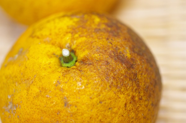 ��̵�������������ݡ�������ȴŲƤߤ���5kg ǻ������󥸿��ǻ�̣����̣���������塼�����ι��縩���񹭼�����������ϡ�v5000��