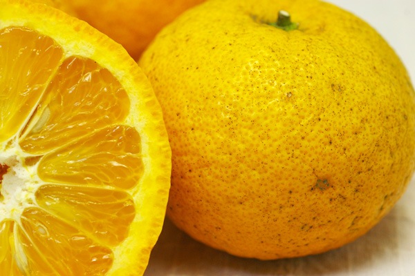 ��̵�������������ݡ�������ȴŲƤߤ���5kg ǻ������󥸿��ǻ�̣����̣���������塼�����ι��縩���񹭼�����������ϡ�v5000��