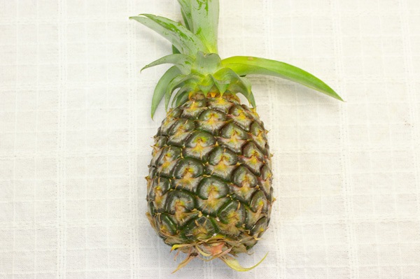 ��̵�������������ݡۥѥ��ʥåץ� ���ä��ꤷ���Ťߤ����ɤ��褦�ʥԥ�äȤ���������ʤ��β��츩�����ܴ��ʤ���ϡ�v800��