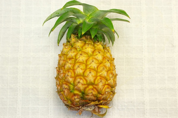 ��̵�������������ݡۥѥ��ʥåץ� ���ä��ꤷ���Ťߤ����ɤ��褦�ʥԥ�äȤ���������ʤ��β��츩�����ܴ��ʤ���ϡ�v800��