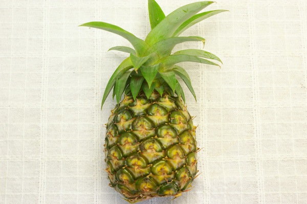 ��̵�������������ݡۥѥ��ʥåץ� ���ä��ꤷ���Ťߤ����ɤ��褦�ʥԥ�äȤ���������ʤ��β��츩�����ܴ��ʤ���ϡ�v800��