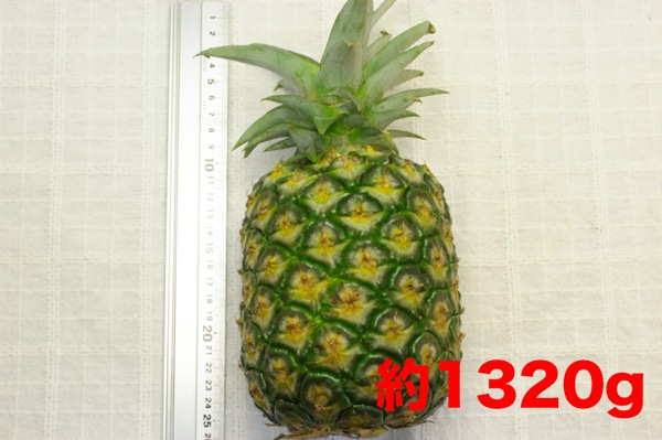 ��̵�������������ݡۥѥ��ʥåץ� ���ä��ꤷ���Ťߤ����ɤ��褦�ʥԥ�äȤ���������ʤ��β��츩�����ܴ��ʤ���ϡ�v800��