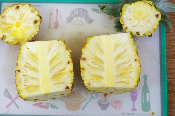 ��̵�������������ݡۥѥ��ʥåץ� ���ä��ꤷ���Ťߤ����ɤ��褦�ʥԥ�äȤ���������ʤ��β��츩�����ܴ��ʤ���ϡ�v800��