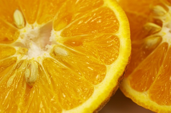 ̵ݡ۴ŲƤߤ1.5kgΰɲϡv1500