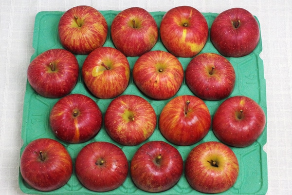 無肥料・減農薬栽培】りんご（ふじ）4.5kg 体が喜ぶリンゴ・農薬7割減