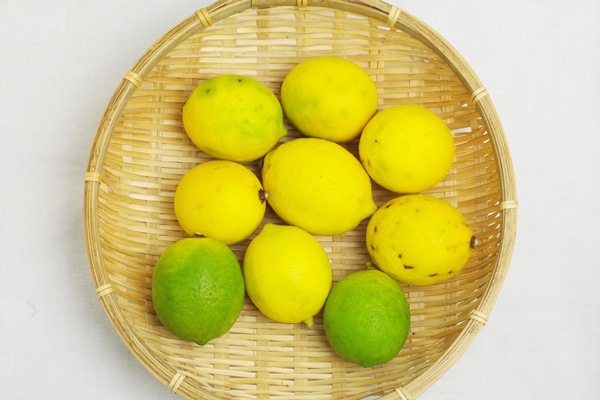 ��̵�������������ݡۥ��꡼�����1kg�δ��츩��Ibuki farm�ϡ�v1000��