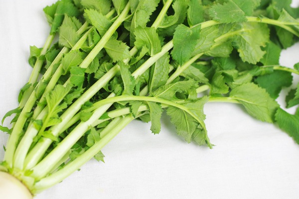 ̵ݡ纬Ĺإʥեϡv700ۢ7/8()ȯʬ