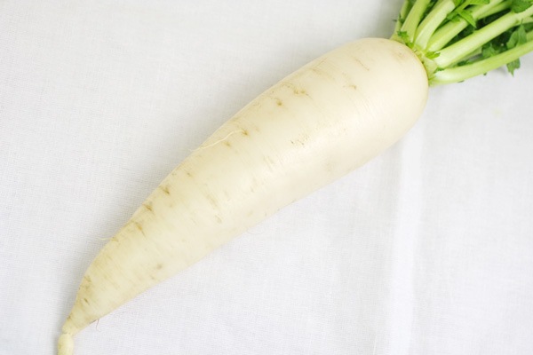 ̵ݡ纬Ĺإʥեϡv700ۢ7/8()ȯʬ