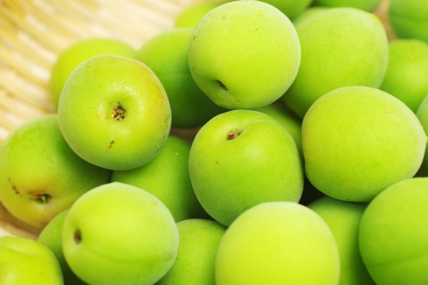 無肥料・自然栽培】大住の青梅1kg［京都府：山本農園］【v1000