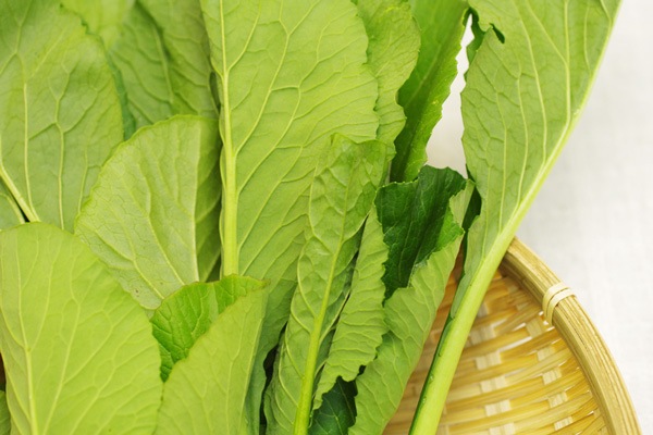 ��̵�������������ݡ۾����ڡε����ܡ�������ʿ����ϡ�v400�ۢ�2/28(��)ȯ��ʬ