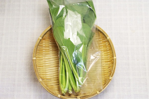 ��̵�������������ݡ۾����ڡε����ܡ�������ʿ����ϡ�v400�ۢ�2/28(��)ȯ��ʬ