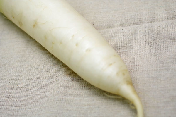 ��̵�������������ݡ��纬��Ĺ������إʥ�����ե�����ϡ�v700��