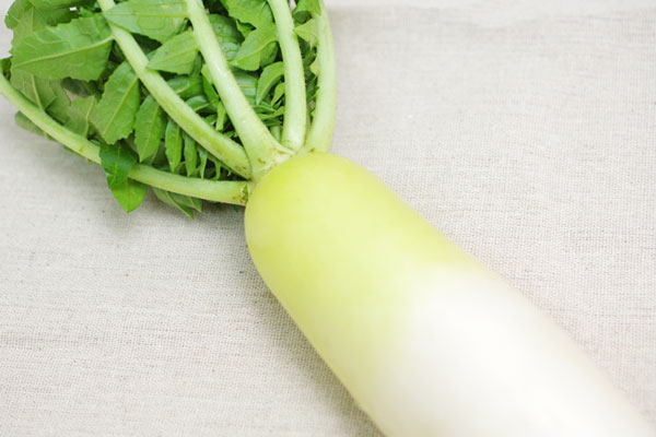 ��̵�������������ݡ��纬��Ĺ������إʥ�����ե�����ϡ�v700��