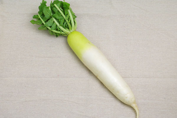 ��̵�������������ݡ��纬��Ĺ������إʥ�����ե�����ϡ�v700��