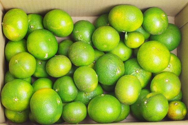 ��̵�������������ݡ۶������ߥ���5kg �ߤ���ε��������𤲤�ߥ���餷����̣�η��ܸ�������������ϡ�v5000��