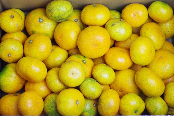 ��̵�������������ݡ۶������ߥ���5kg �ߤ���ε��������𤲤�ߥ���餷����̣�η��ܸ�������������ϡ�v5000��