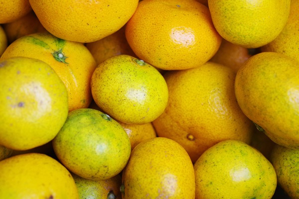 ��̵�������������ݡ۶������ߥ���10kg�����޹��ߡˡη��ܸ�������������ϡ��������ߡۢ�11/16(��)�ʹߤ�ȯ��