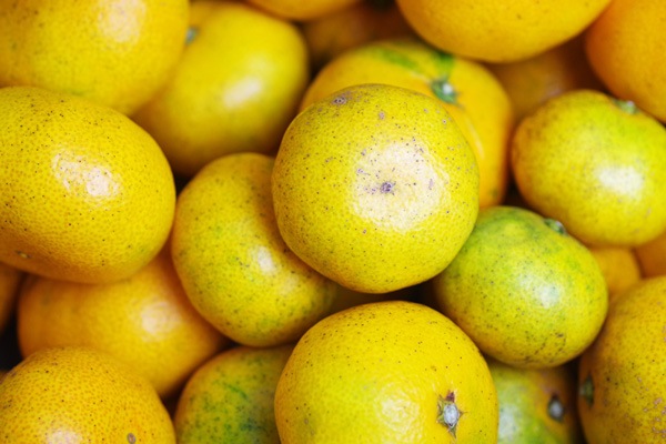 ��̵�������������ݡ۶������ߥ���10kg�����޹��ߡˡη��ܸ�������������ϡ��������ߡۢ�11/16(��)�ʹߤ�ȯ��