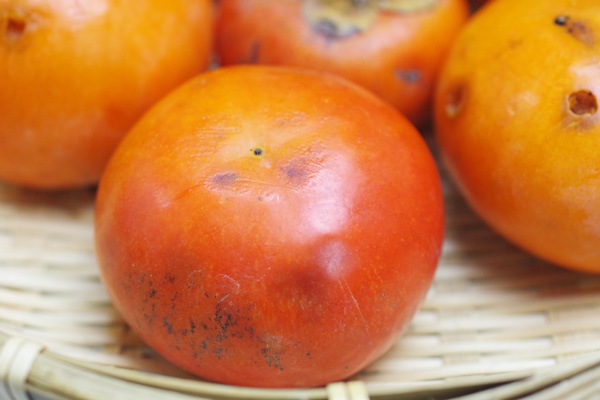 ��̵�������������ݡ۳�1kg�δ��츩��Ibuki farm�ϡ�v1000��