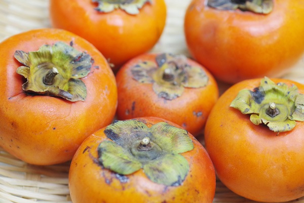 ��̵�������������ݡ۳�1kg�δ��츩��Ibuki farm�ϡ�v1000��