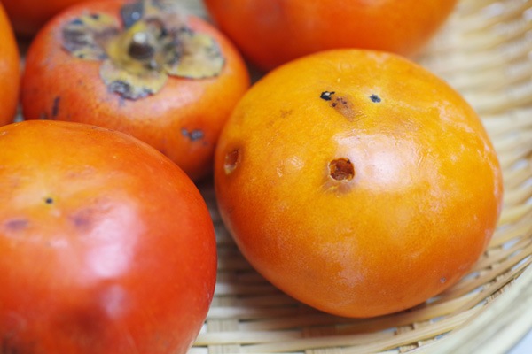 ��̵�������������ݡ۳�1kg�δ��츩��Ibuki farm�ϡ�v1000��