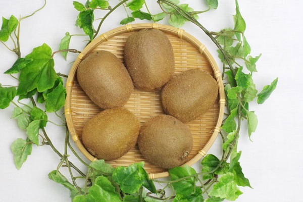 ��̵�������������ݡۥ������ե롼��500g�ι��縩��ƣ�洲�ϡ�v500��