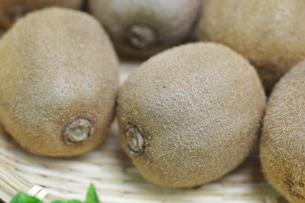 ��̵�������������ݡۥ������ե롼��500g�ι��縩��ƣ�洲�ϡ�v500��