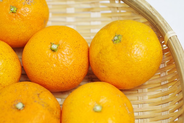 ��̵�������������ݡ۲����ߥ���1kg �Ťߤ���˻�̣�⤢��ǻ���ʤߤ���η��ܸ�������������ϡ�v1000��