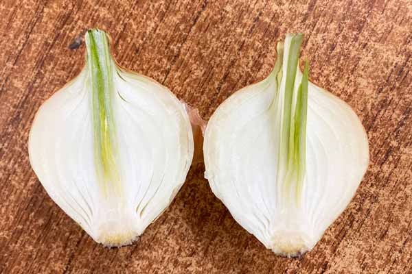 ��̵�������������ݡ۶̤ͤ�1kg �꤬�ФƤ����������ʡ��̳�ƻ��������͡�v1000��