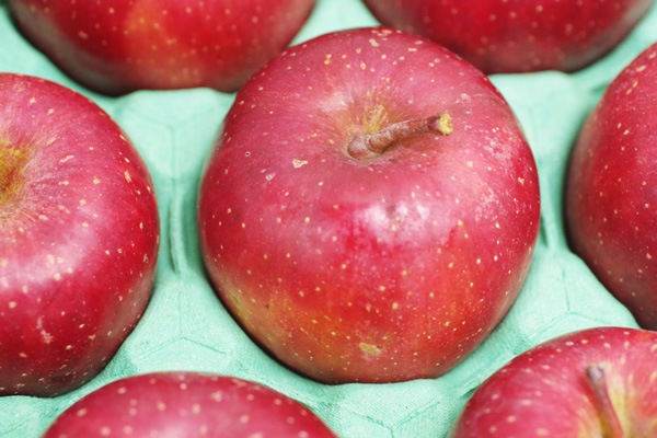 ��̵���������������ݡۤ�󤴡ʤդ���4.5kg���Ŀ�������Ҥ�������ϡ��������ߡ�Ʊ���Բġۢ�11/25(��)����